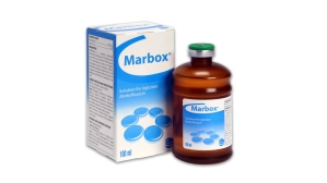 Nota de Esclarecimento