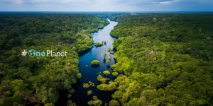 Vista aérea da floresta amazônica — compromisso OnePlanet