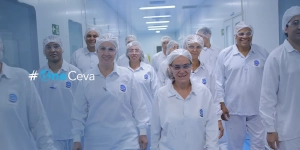 Grupo de pessoas representando o espírito OneCeva