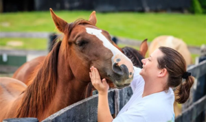 Menina acariciando um cavalo — saúde equina Ceva
