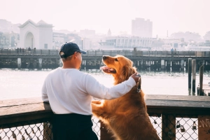 Homem e cão demonstrando o vínculo humano-animal